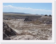 A540_0465 * The Painted Desert with petrified wood