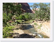 A540_0969 * Footbridge over the Virgin River near the Lodge