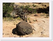 A540_1456 * Capital Reef National Park