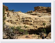 A540_1457 * Capital Reef National Park