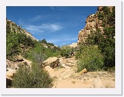 A540_1458 * Capital Reef National Park