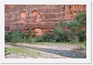 DSC_3516 * The Virgin River near the Temple of Sinawava