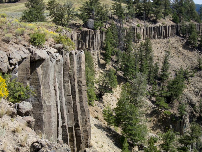 IMG_0186.jpg - Basalt columns seen from the Yellowstone River Picnic Area Trail